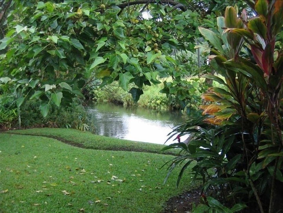 Lawn down to the stream