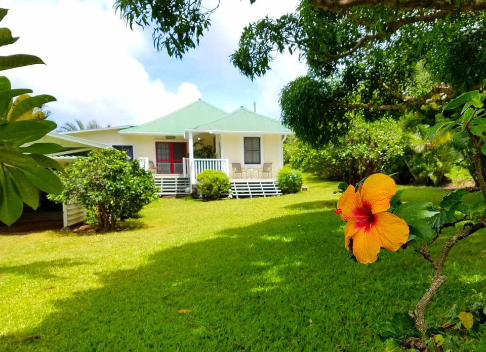 Welcome to Hawi Haven!! We love our front yard!