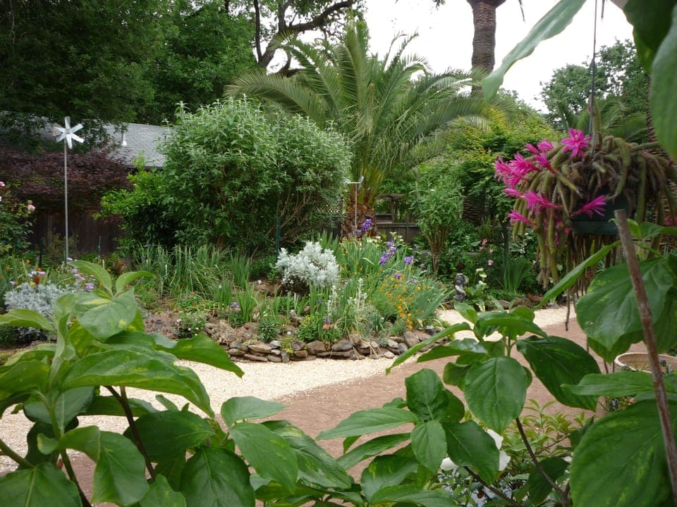 garden