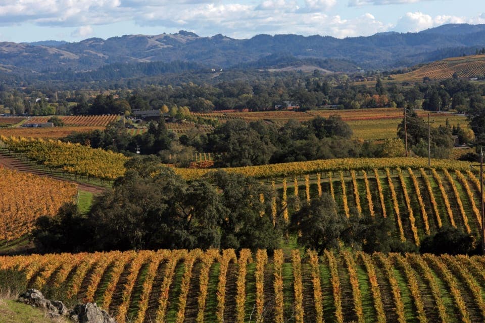 Wine tasting, vineyard and cave tours all within minutes from the apartment