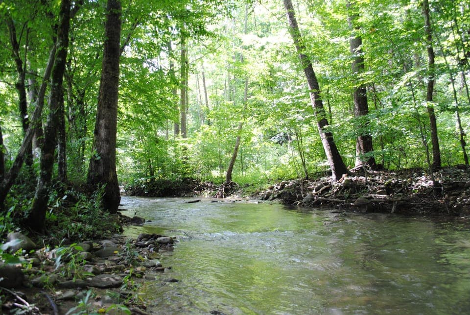 Creek runs the length of property