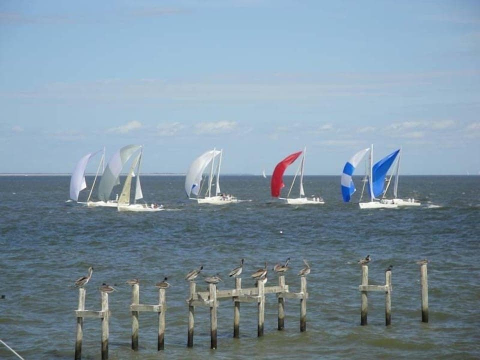 Sailboat races with Pelican observers