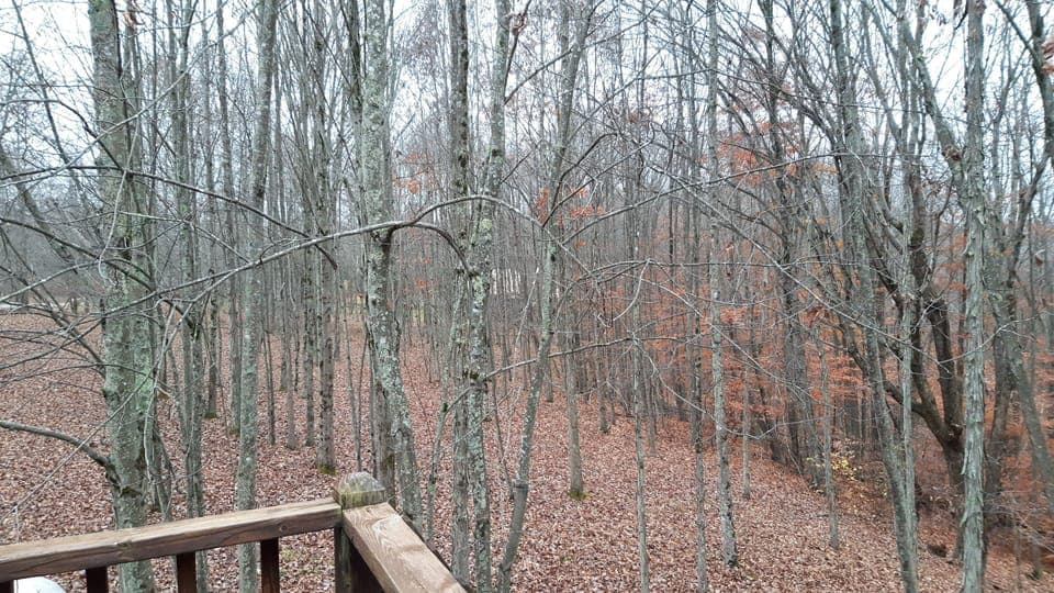 View from Deck