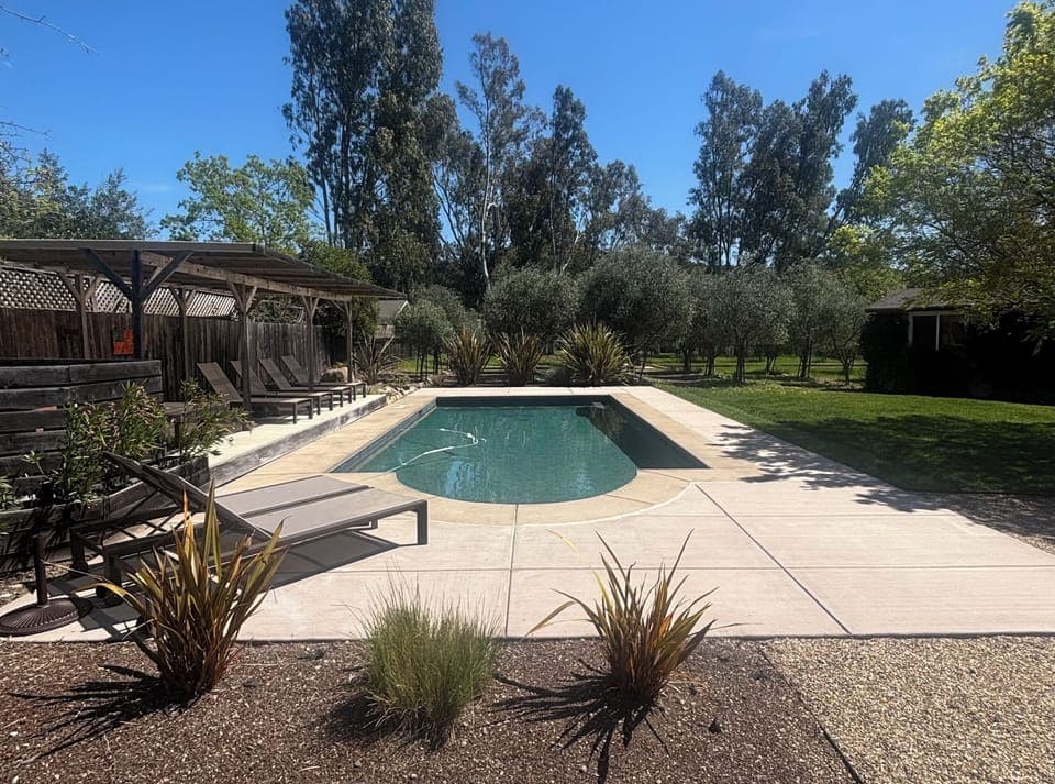 Pool between pergola shaded sitting and grassy area, plus mature olive trees