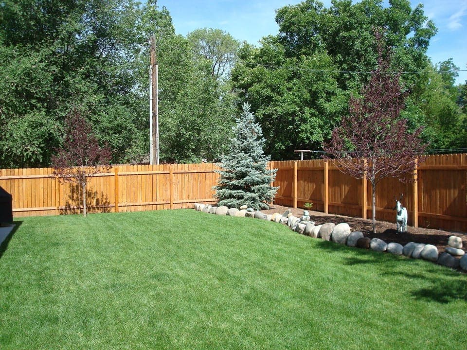 Side yard