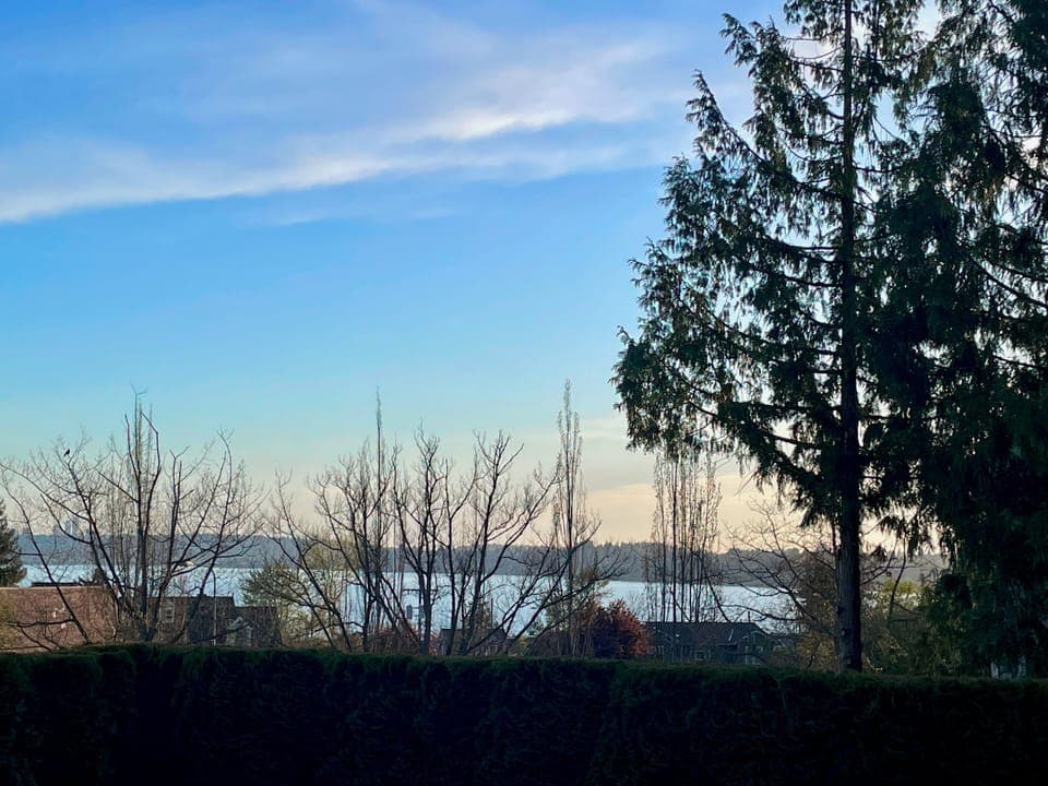 Seasonal view of Lake Washington