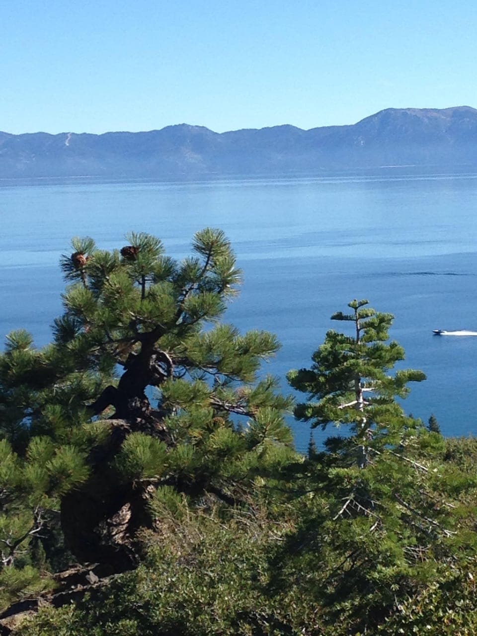 View at top of eagle rock.