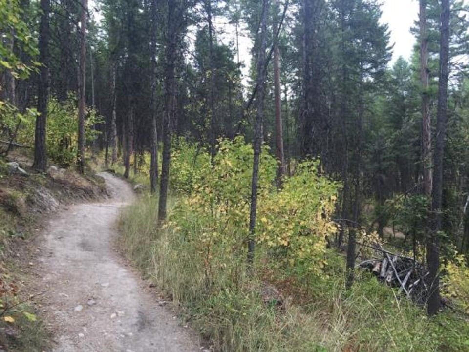 Whitefish trail, 1/2 mile from cottage