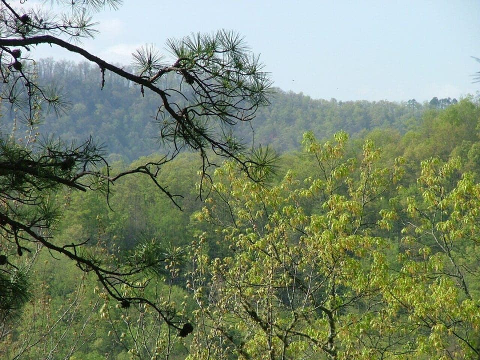 View to Northwest from deck