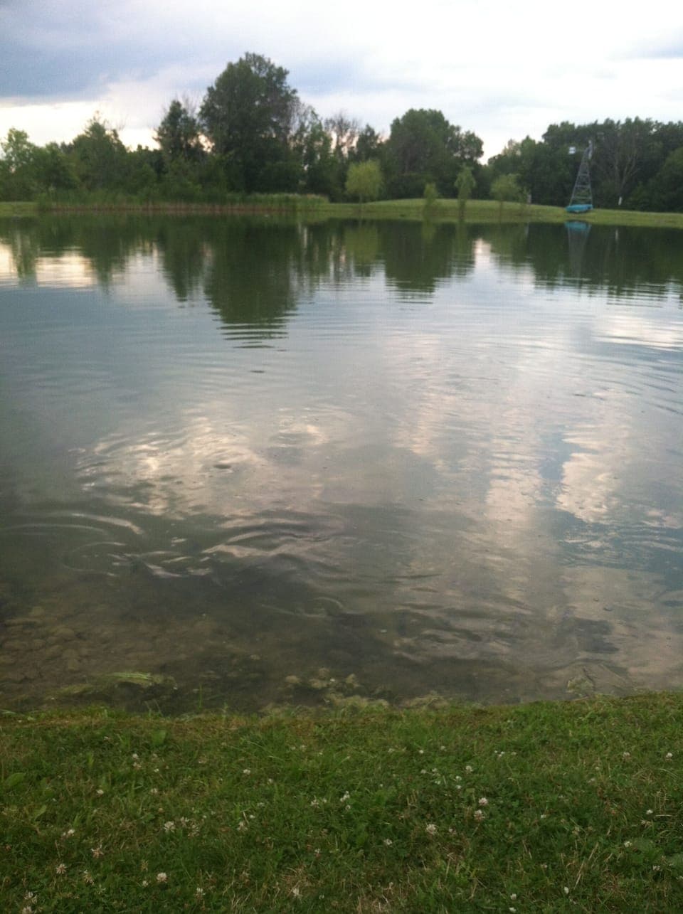 Pond at winery