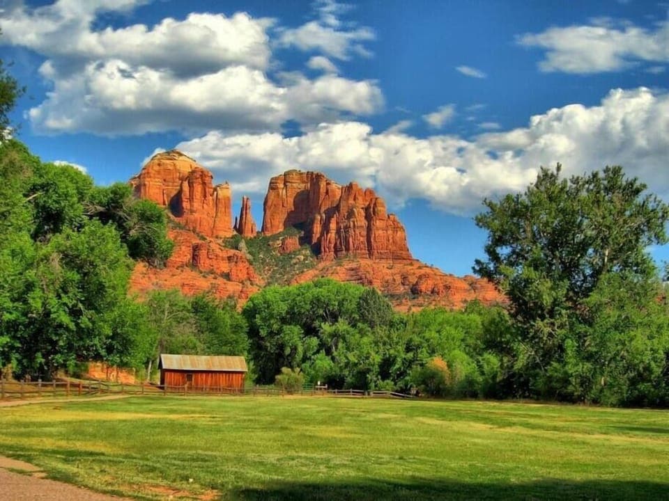 B6881e07 4116 4351 bc40 15f1c809d8d4