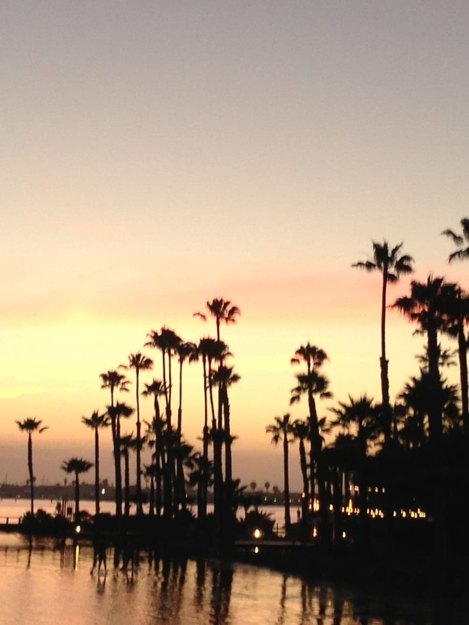 Mission Bay - just walk across the street to enjoy a peaceful stroll.