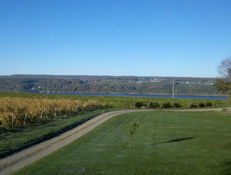 Fall in Hector! View from upstairs master bedroom.