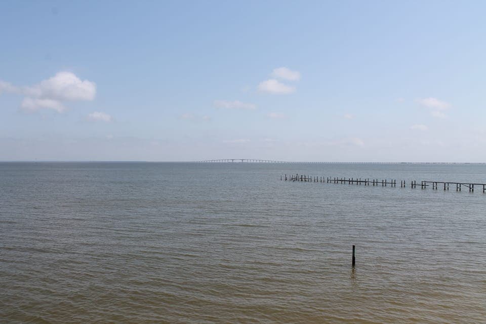 View From Upper Deck