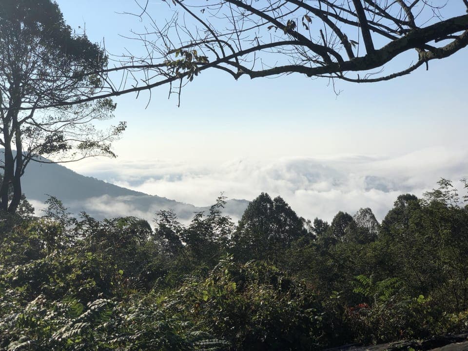 The beautiful Blue Ridges