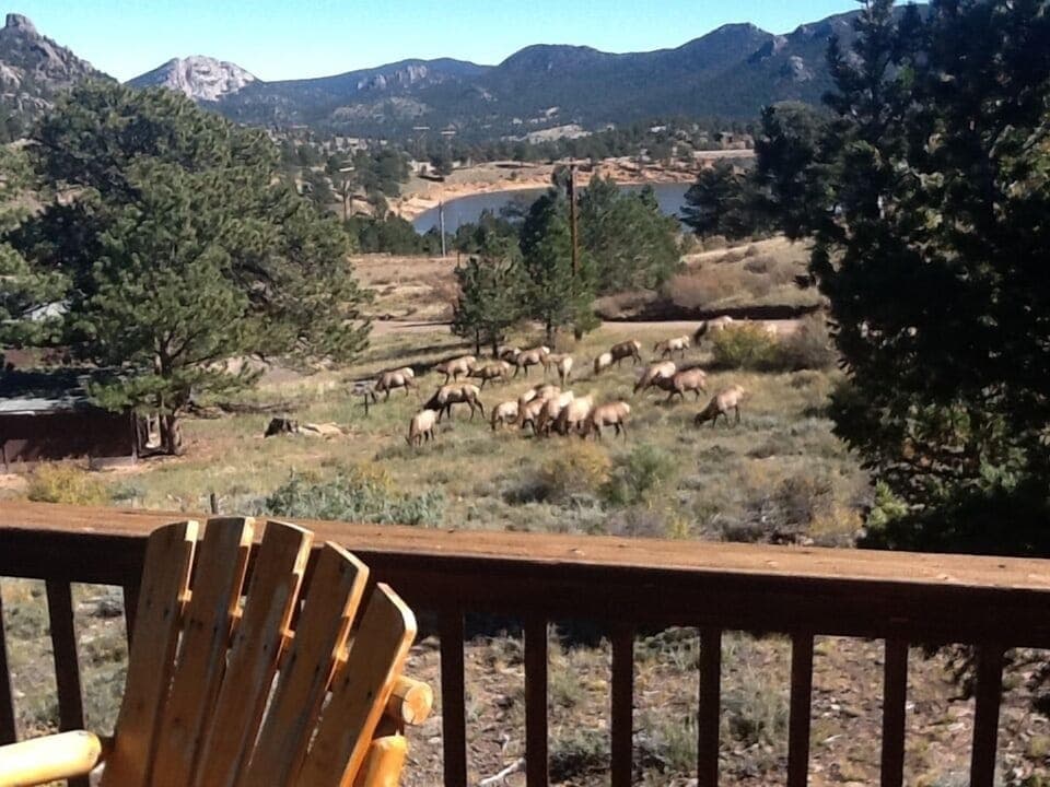 Wildlife watching from the deck on a warm and sunny October day. 