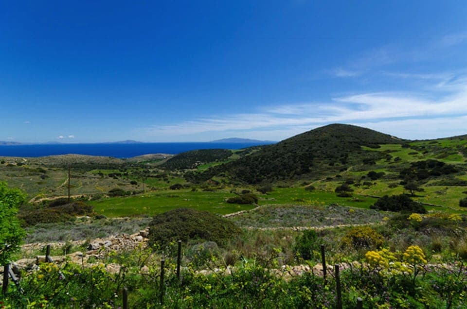 One brilliant view from the patio, across the orchards to the sea and Cyclades.