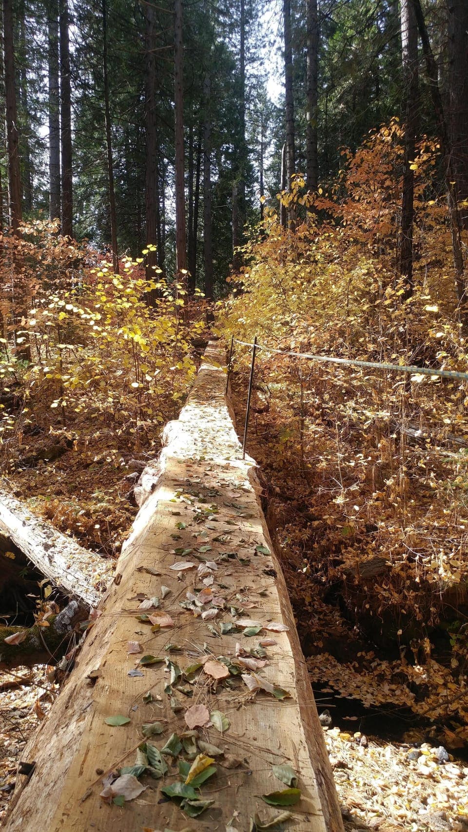 Bridge to the National Forest, great hiking and biking.