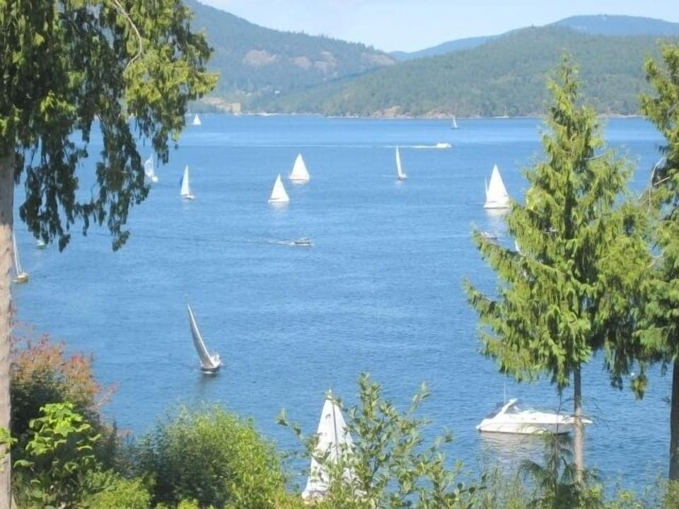 Watch sailboats, eagles, and sometimes whales