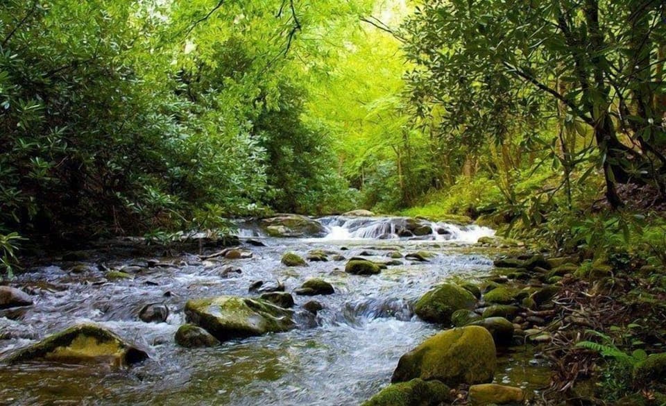 Laurelwood Falls Cabin-Waterfall View