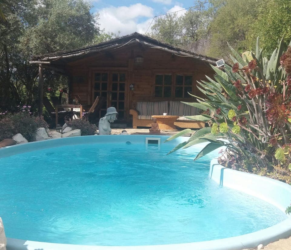 Casita and Pool for our clients sole use.  This area is not shared with anyone:)