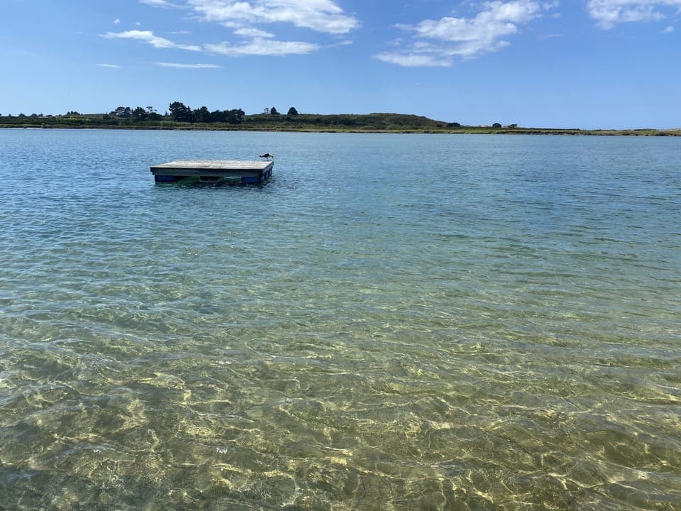 The river at high tide