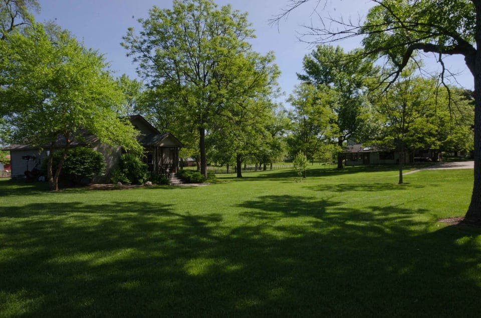 Cottage Front Yard