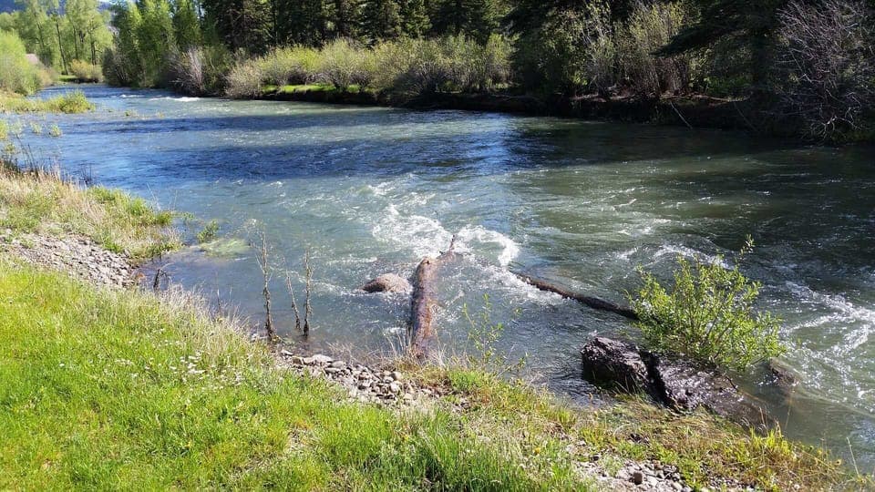 River View