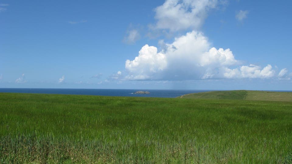 Gulland Rock (Coast Path walk Porthcothan to Padstow) 
