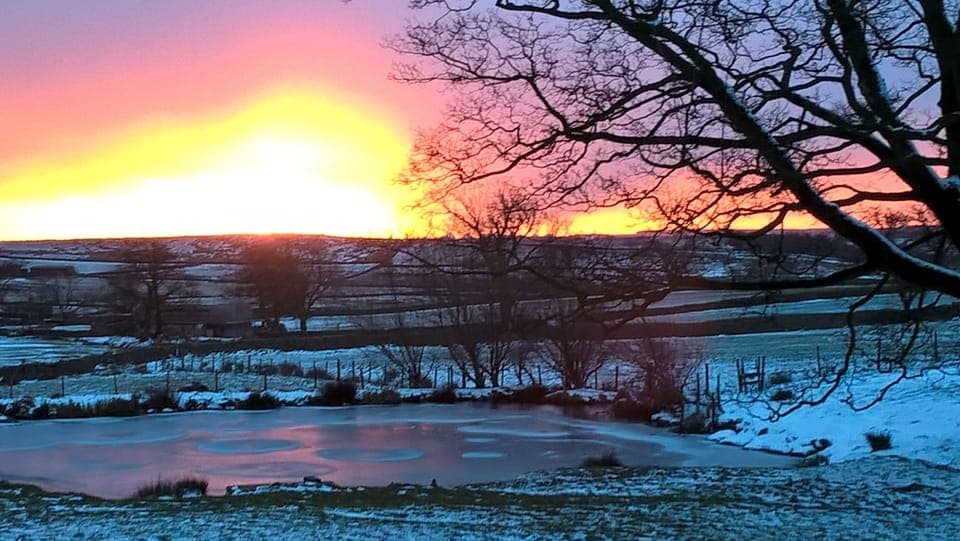 Peaceful surroundings 