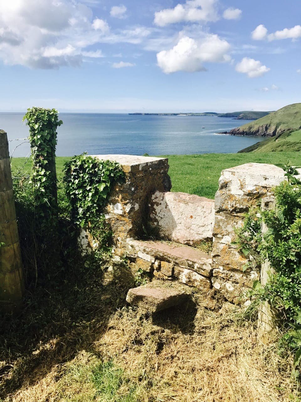 The famous Pembrokeshire Coast path is less than10 minutes by car.