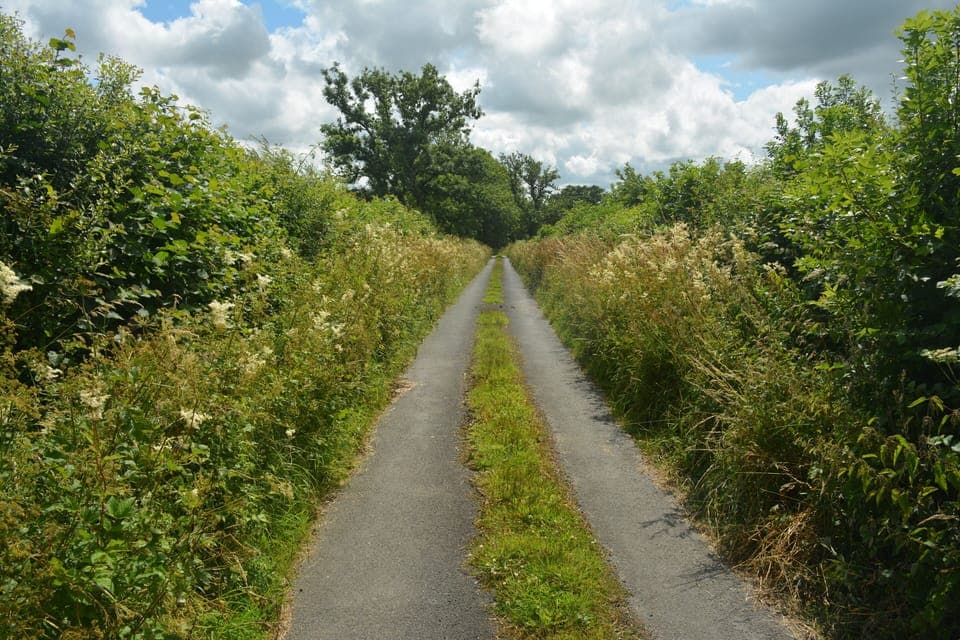 Lane leading to the Shippen