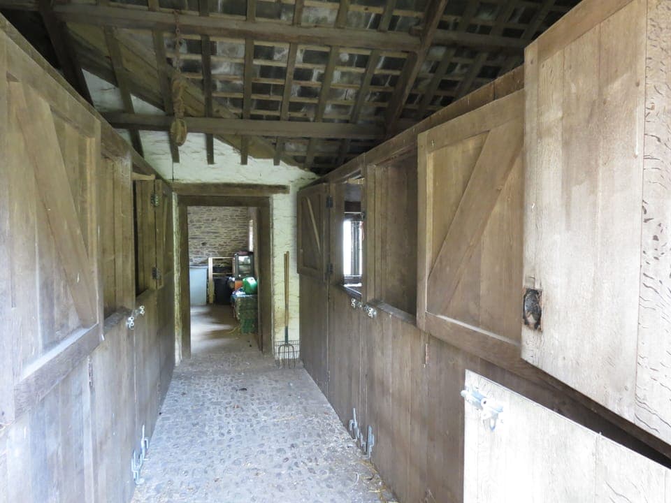 DIT Livery available in traditional stables