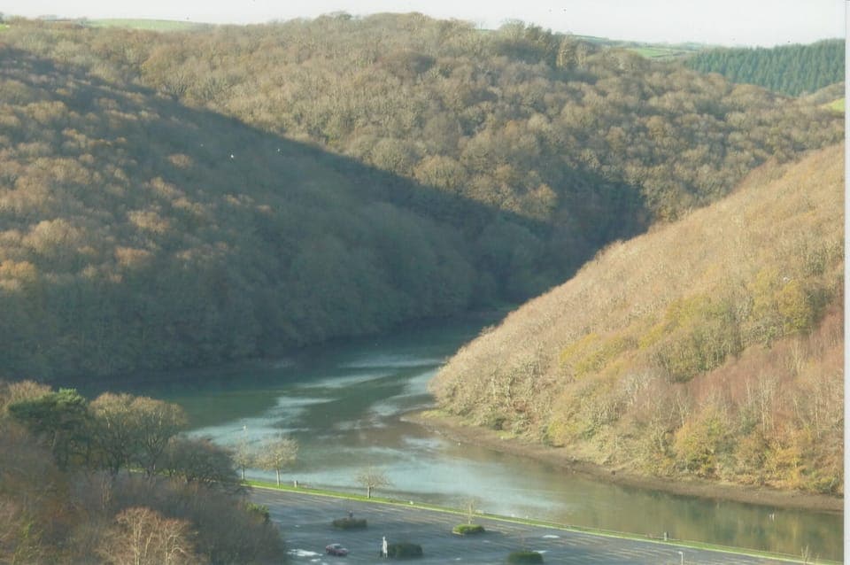 WEST LOOE RIVER FROM SITTING ROOM