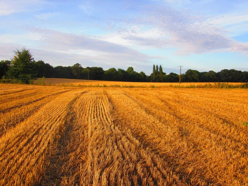 The open farmland surrounding the gite.