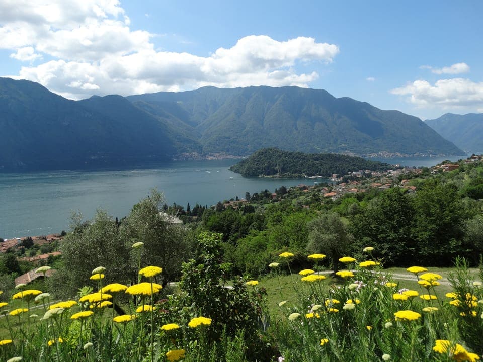 the view in late spring