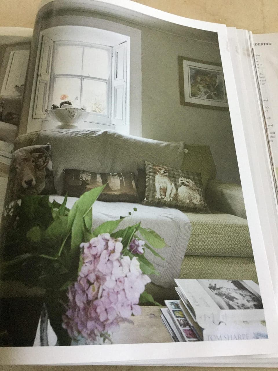 Sitting room view of window box 
