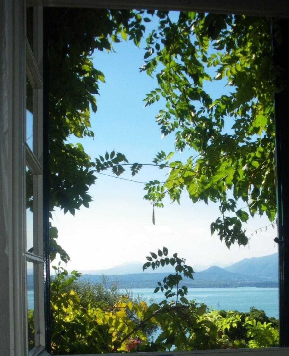 Postacard? No, living room window facing the lake