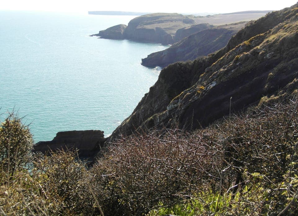 View from costal path above Freshwater East