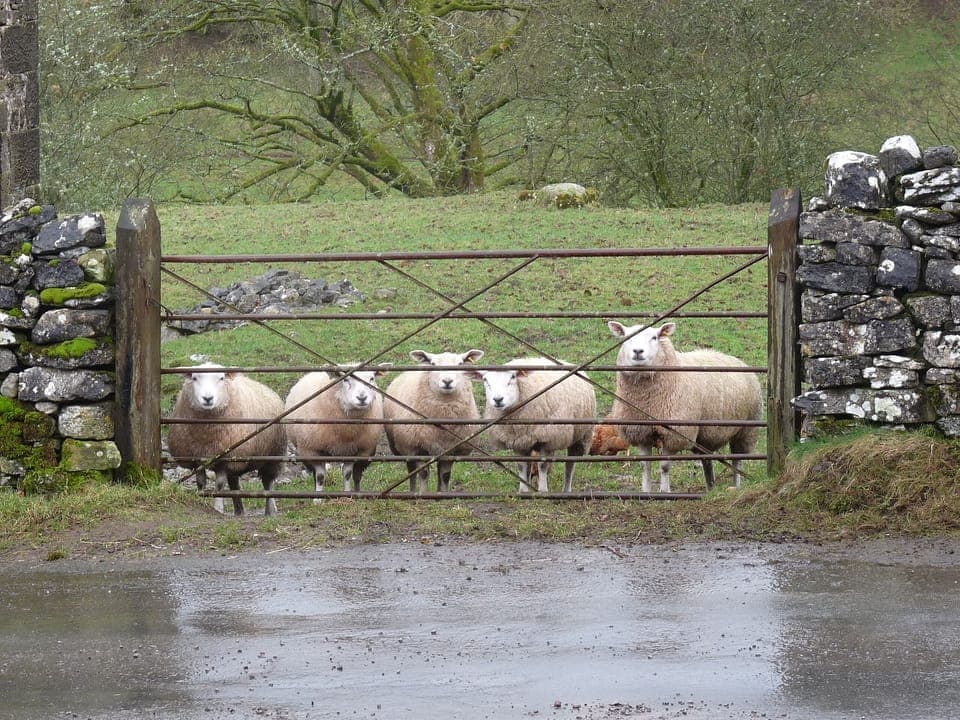 Just Keeping An Eye On Things