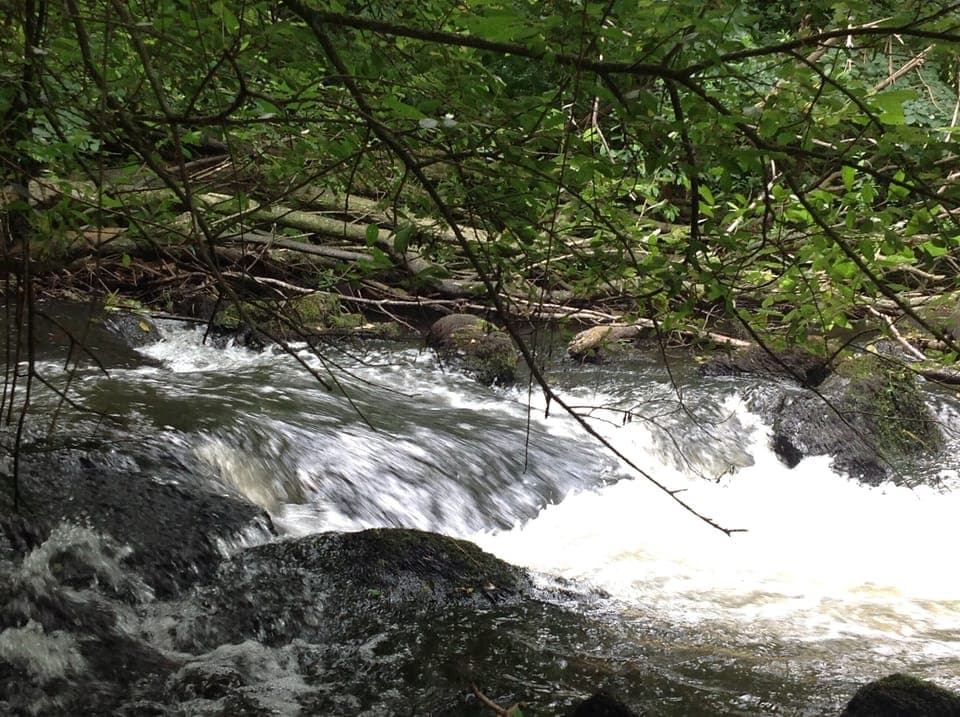The cascades near the local village, 10 minutes from us. 