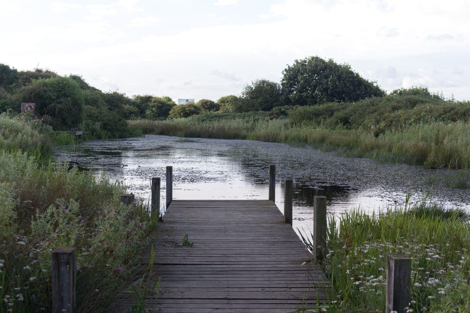 Lower lake, one of two on the site as well as a wild meadow