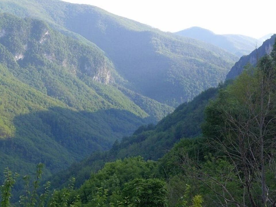  View from all terraces and master bedroom.
