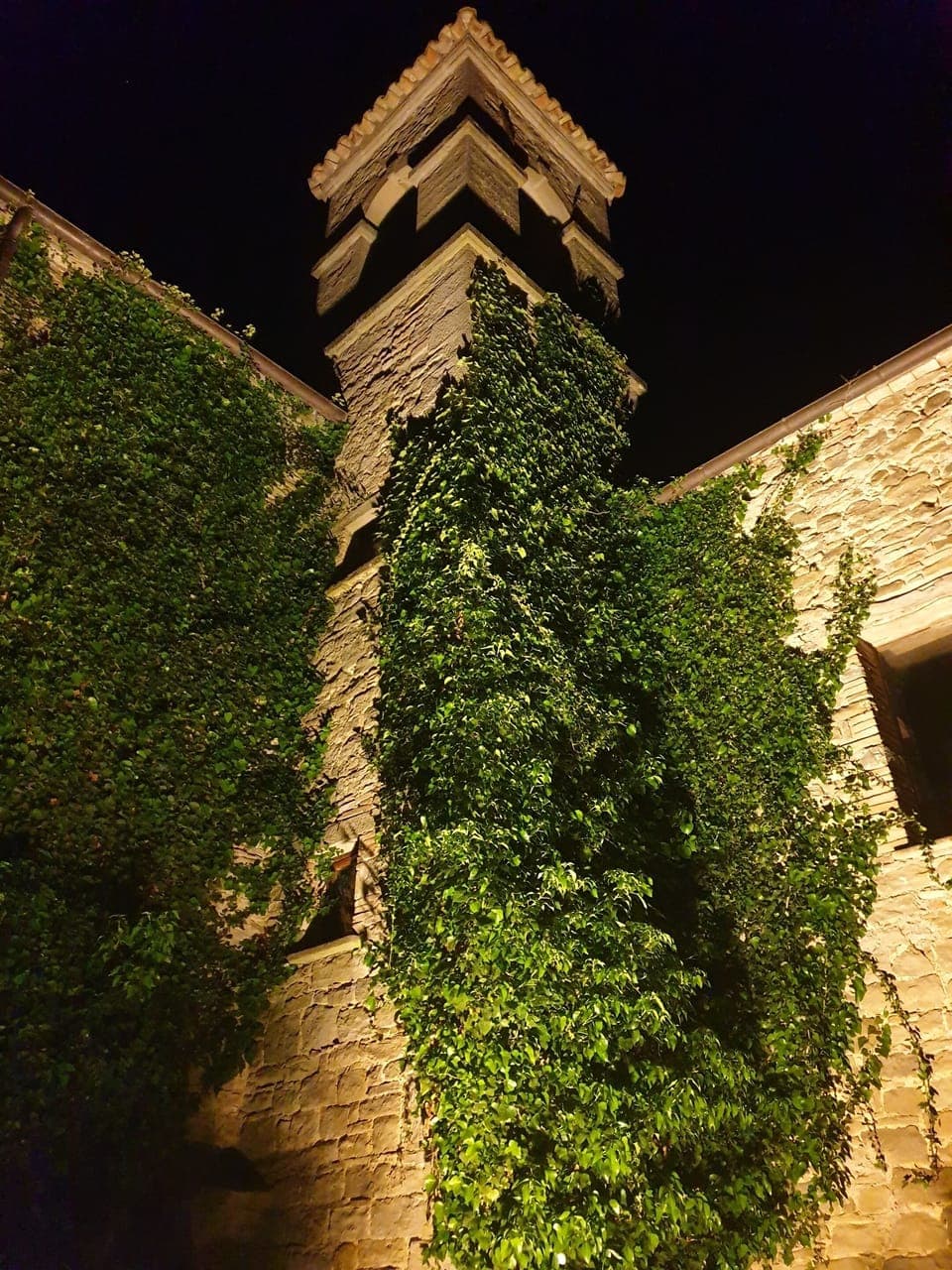Bell tower at night