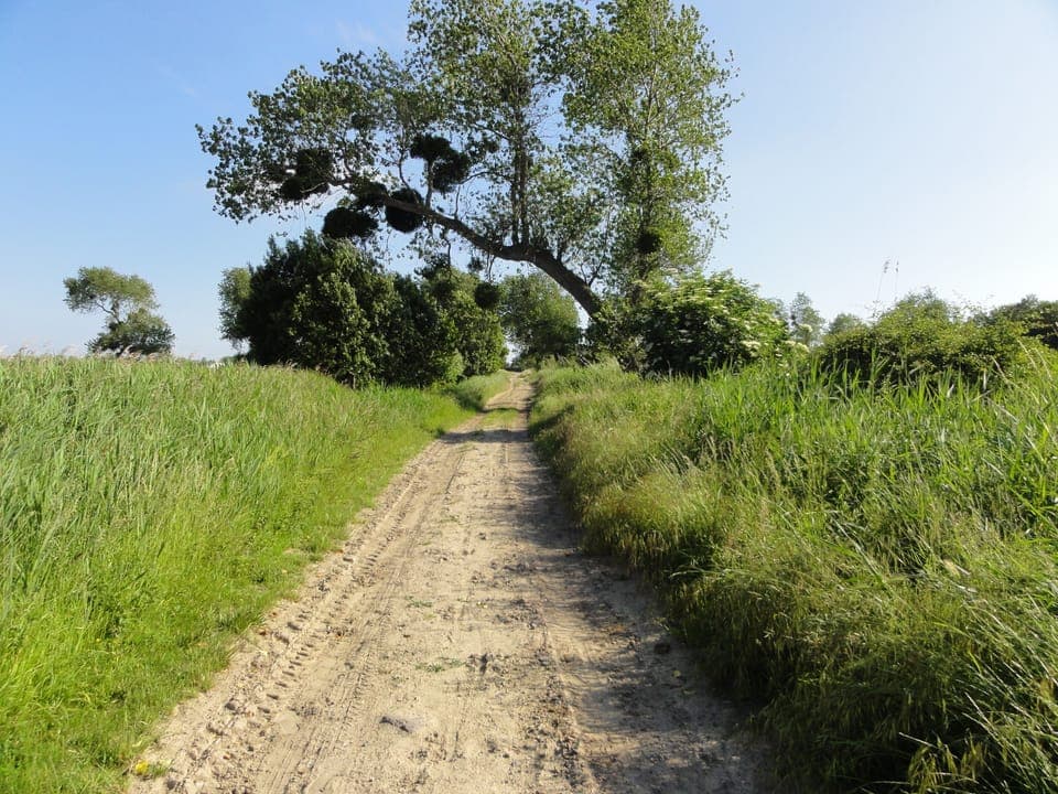 Track behind the house towards les Salines