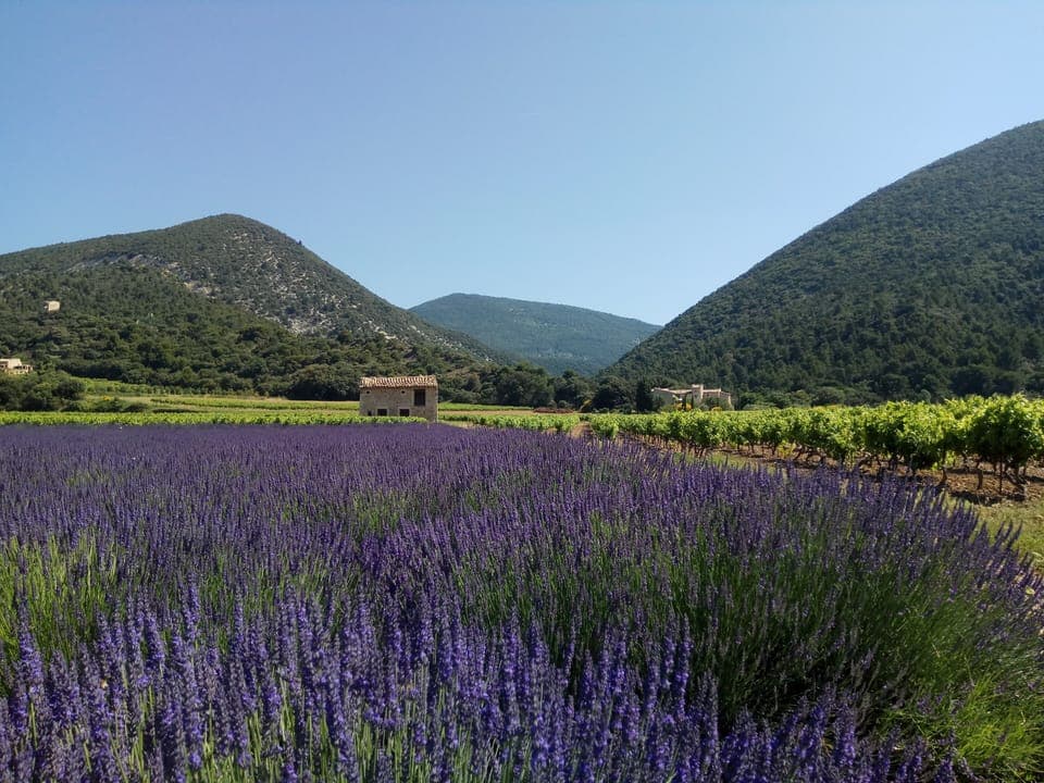 Entrance road to village 