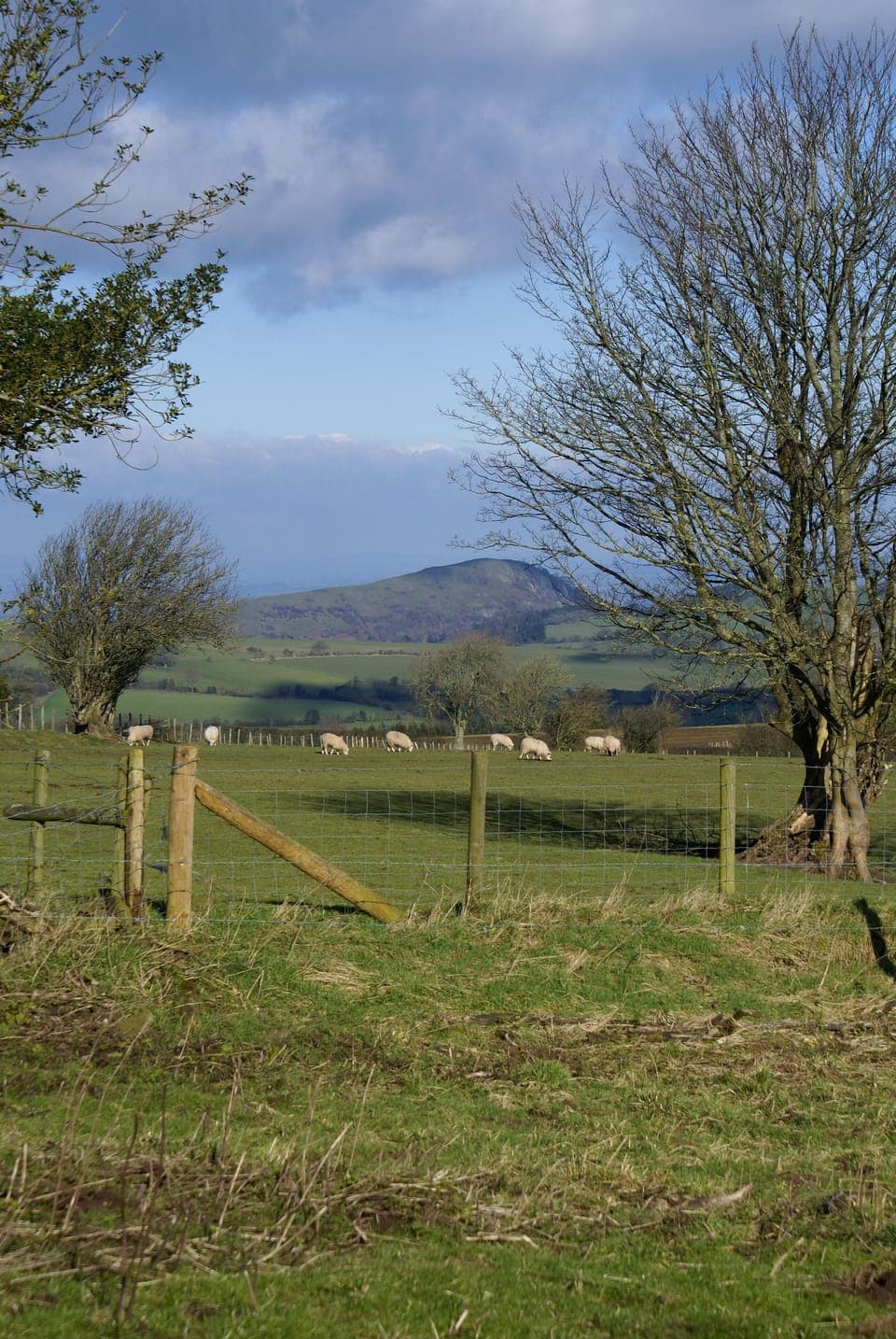 Shropshire Countryside