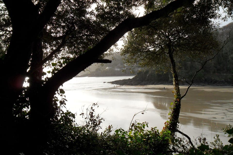 North Sands beach is 10 to 15 mins walk