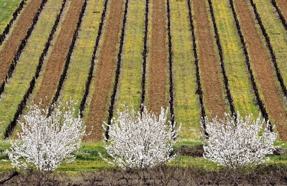 View from Lacoste 50 minutes
