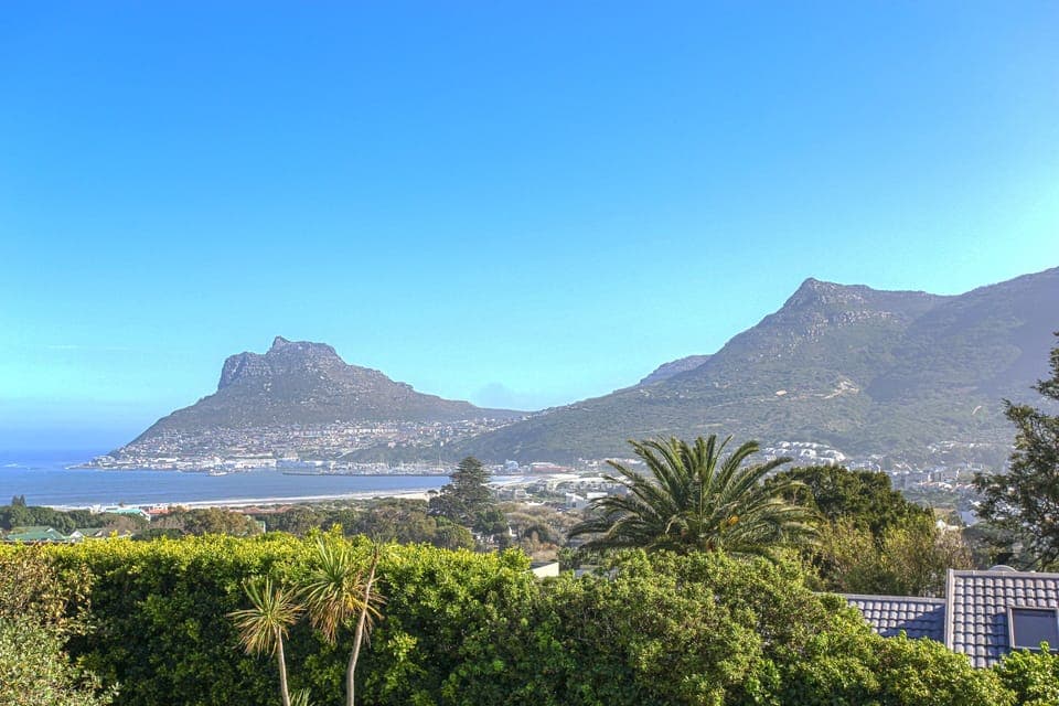 View from the terrace